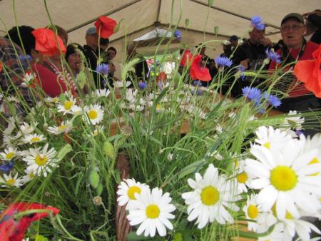 Pomlad v prleških goricah 2013 8